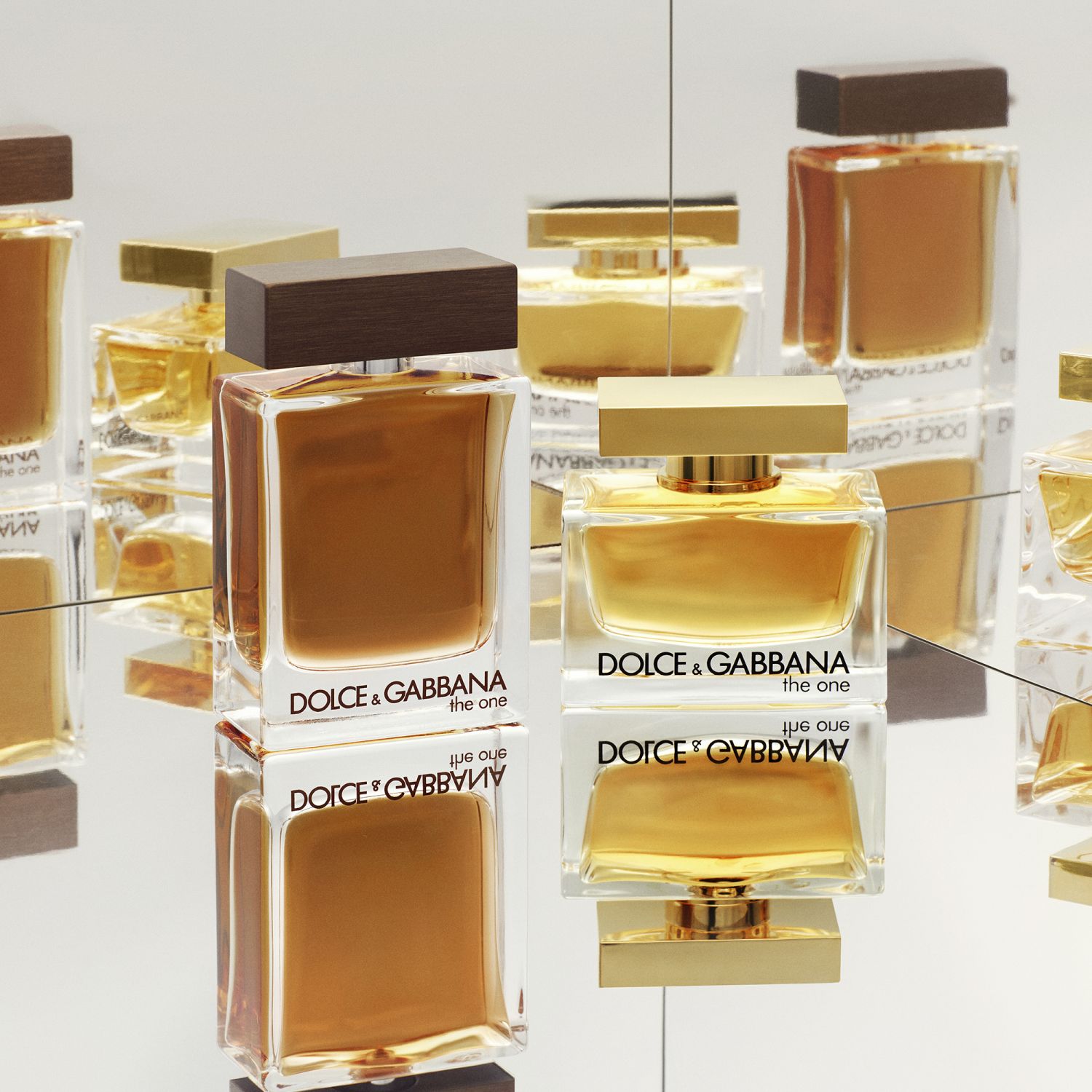 The One Eau de Parfum