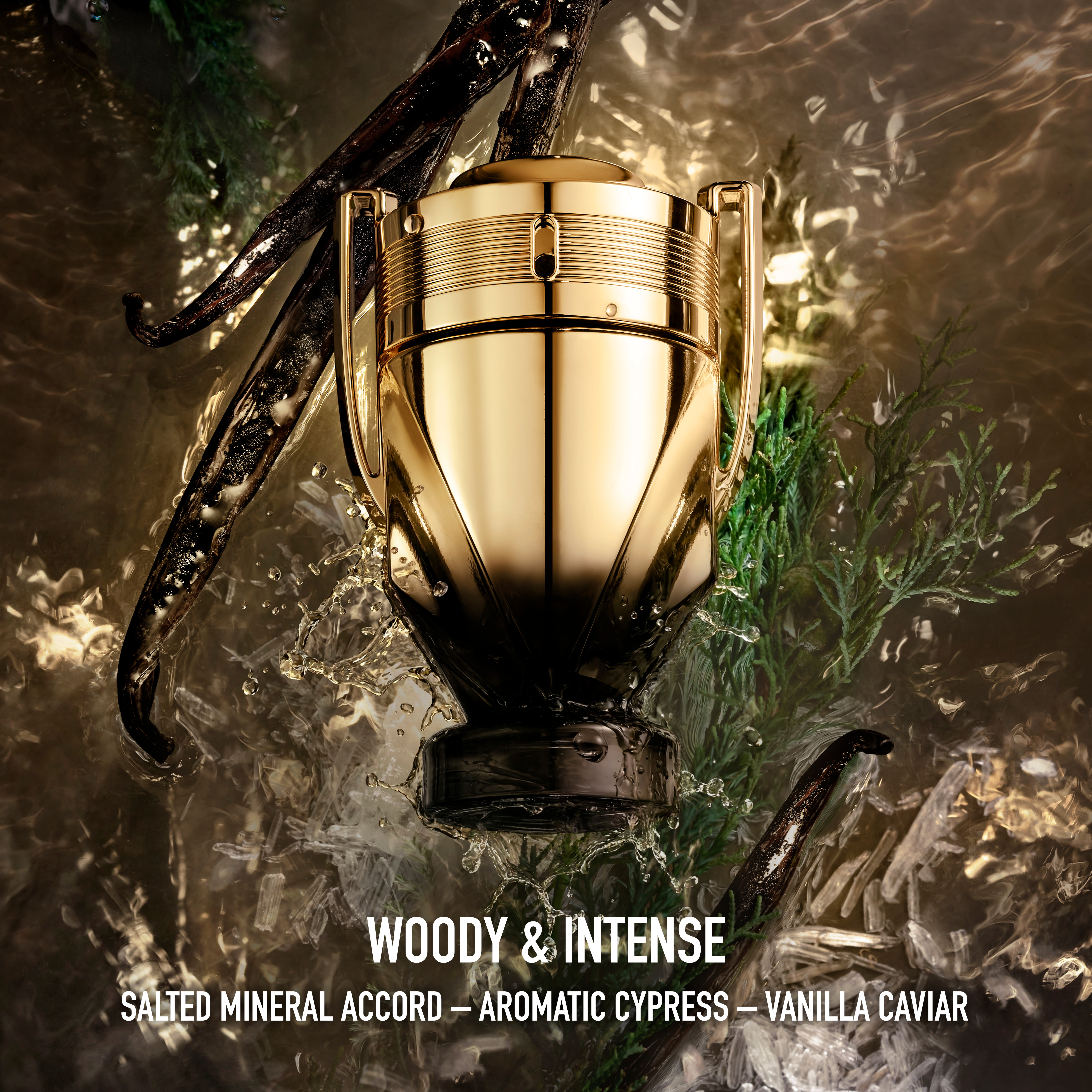 Invictus Elixir Parfum Elixir