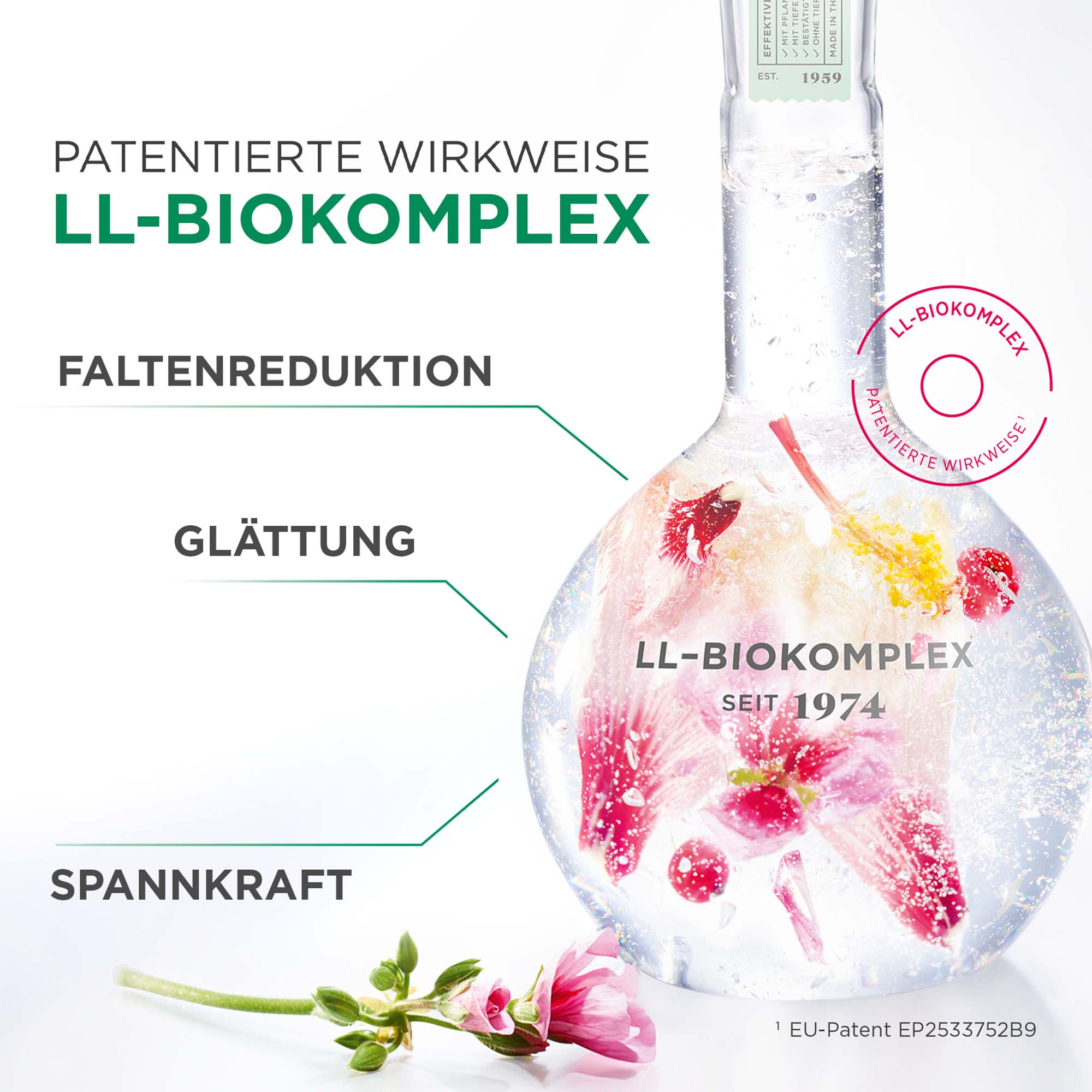 LL Regeneration Vitalisierende Nachtcreme LIMITED EDITION