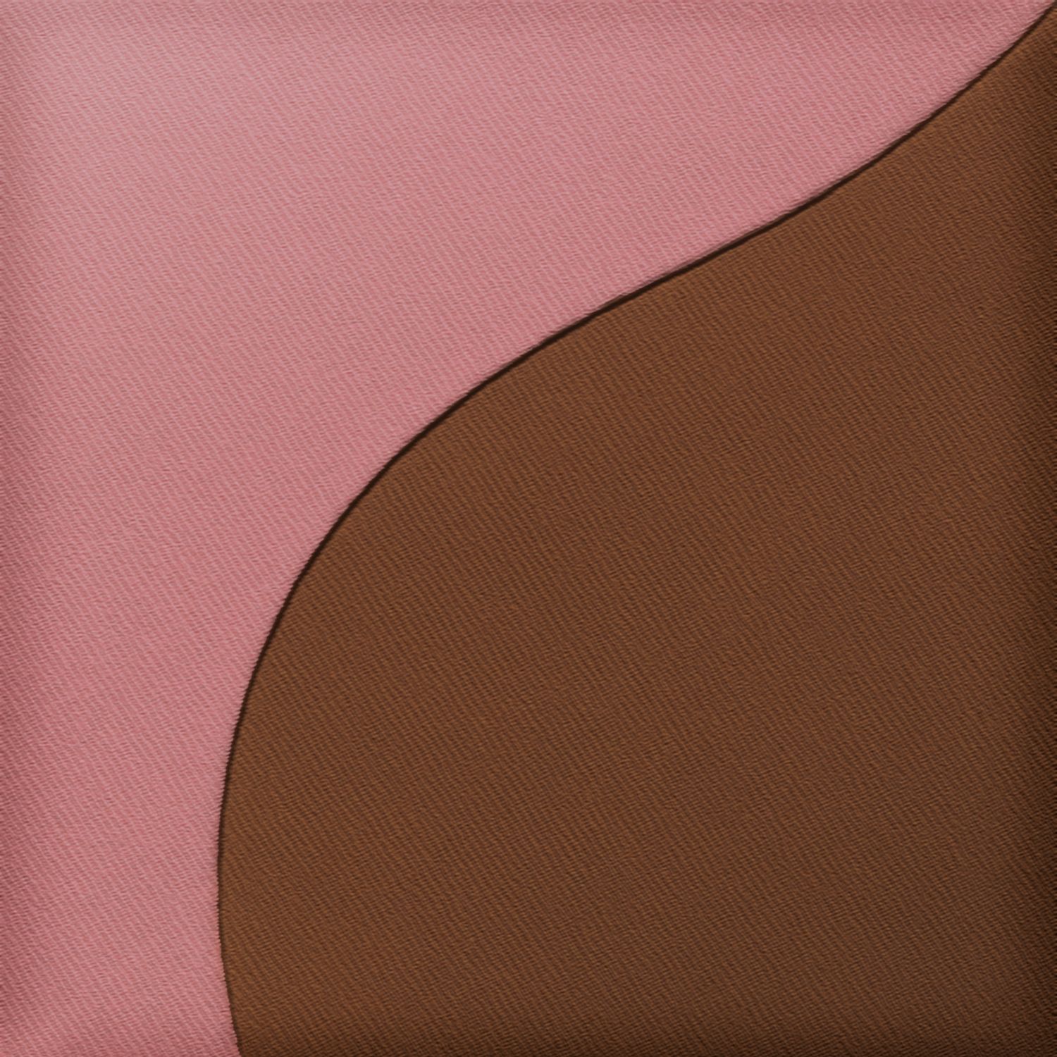 Bronzer & Blush