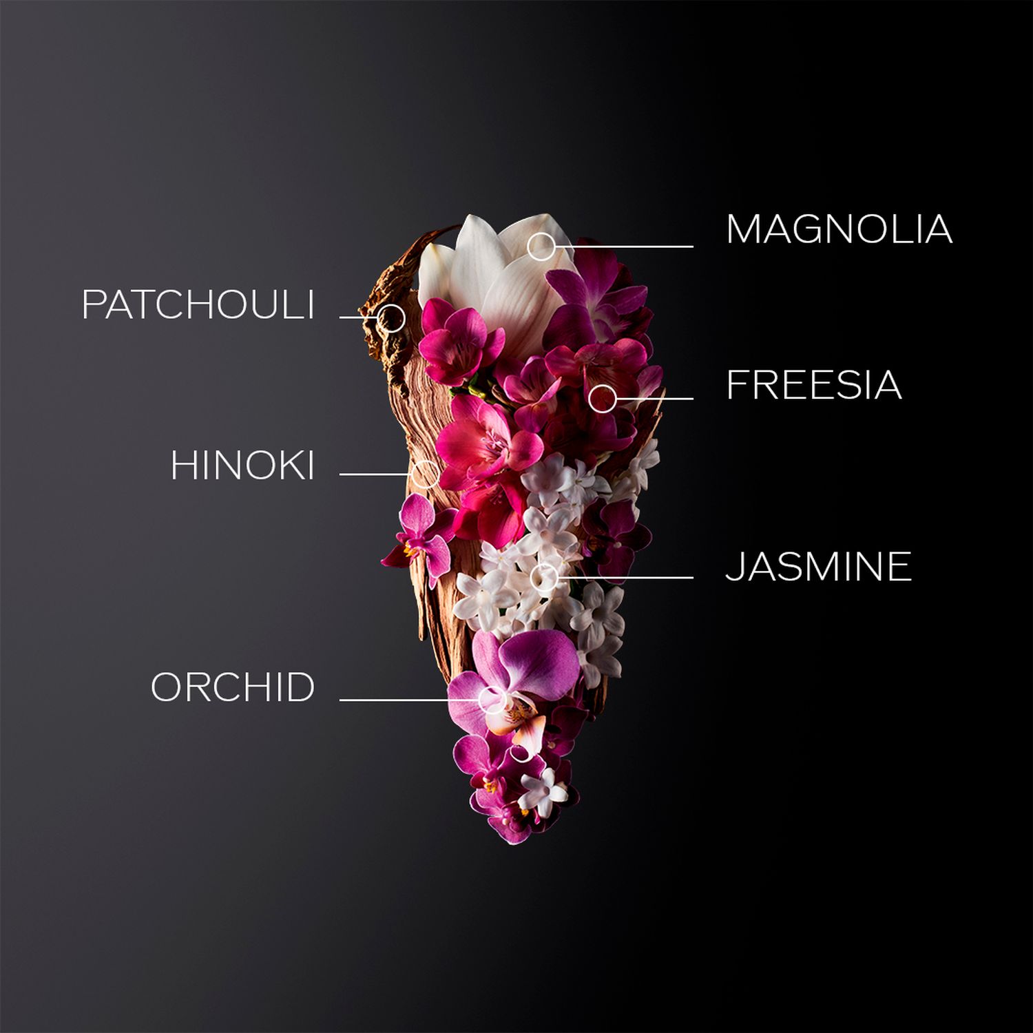 GINZA Eau de Parfum Spray